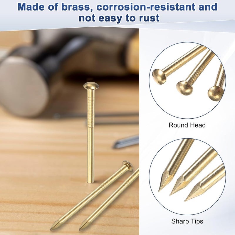 M METERXITY 200-Pack Small Tiny Nails, 2mm x 15mm Brass Precision MIni Nails Hardware Round Head for Wooden/DIY Crafts Decorative/Household Accessories/Picture Hanging - Image 2